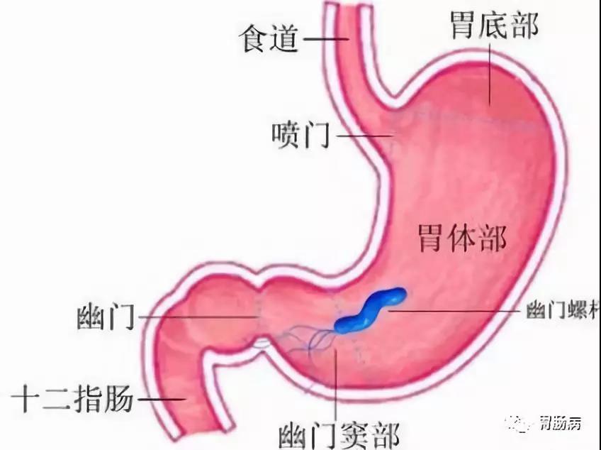 微信图片_20210407165626.jpg