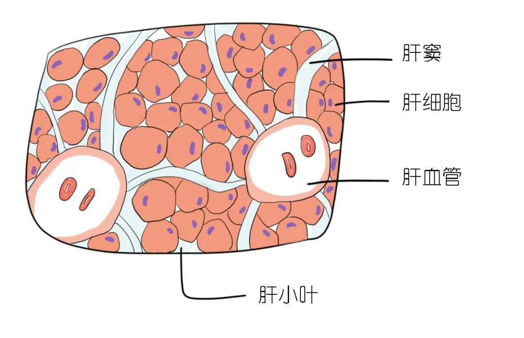 微信图片_20220310104240.jpg