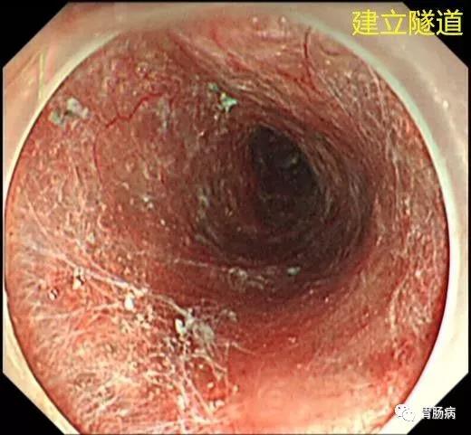 微信图片_20210204140718.jpg