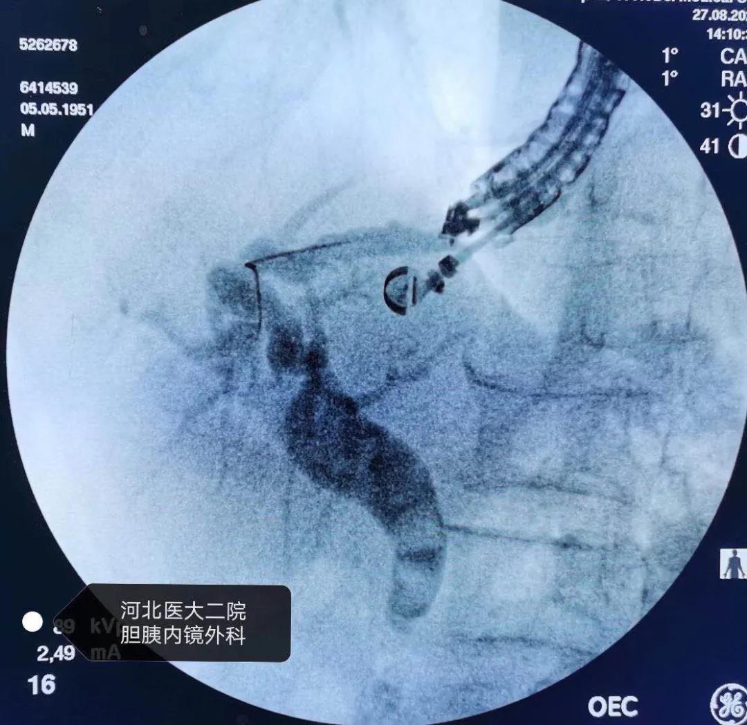 微信图片_20210610180238.jpg