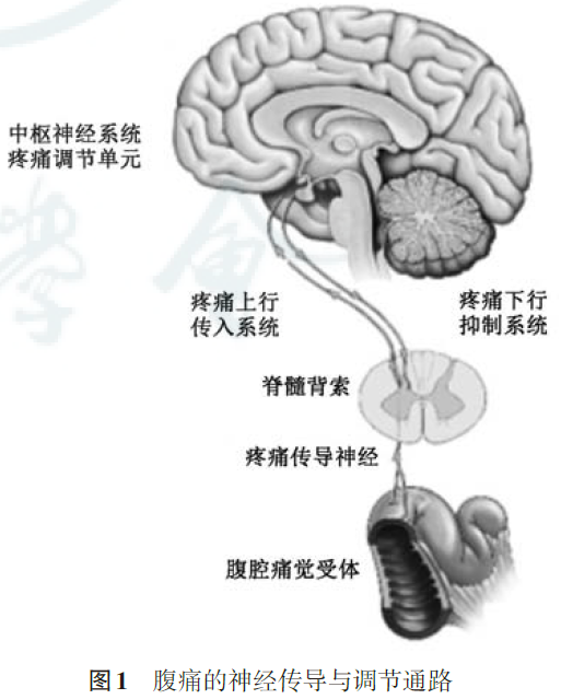 微信图片_20211115140405.png