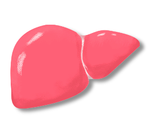 640 (2).png