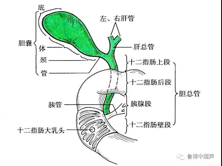 微信图片_20210513173108.jpg