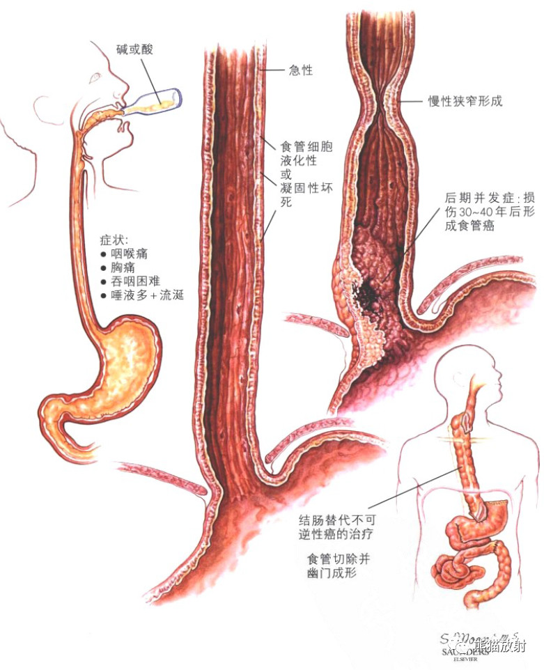 微信图片_20220311150109.jpg