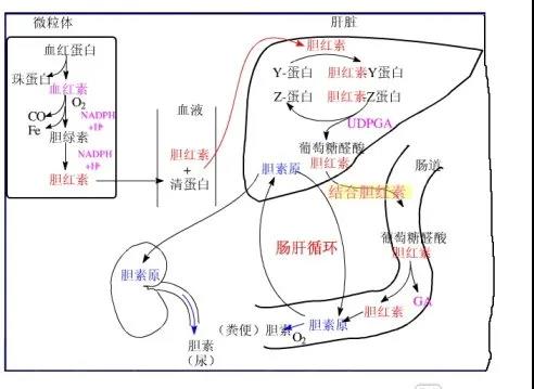 微信图片_20210125150805.jpg