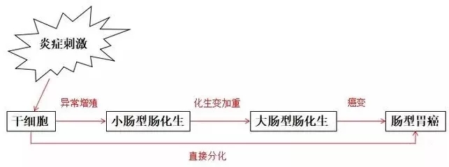 640.webp (1).jpg
