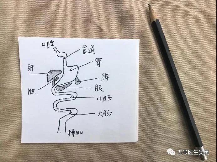 胃潴留图片消化不良图片