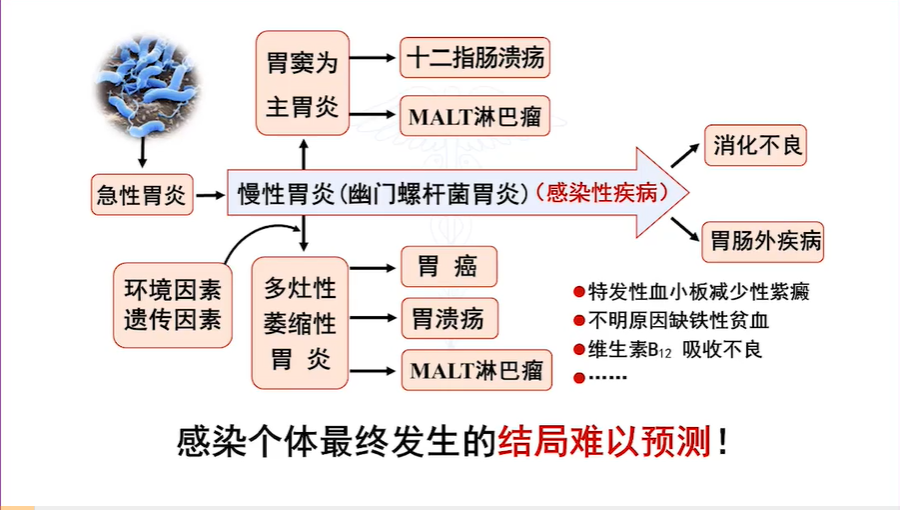 感染结局.png