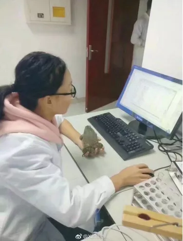 微信图片_20200909165510.png