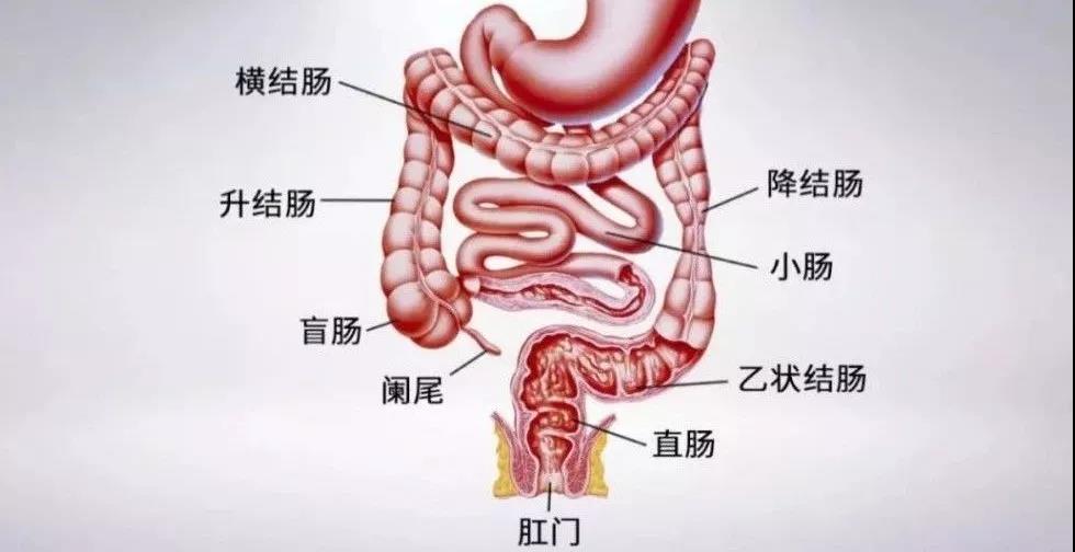 微信图片_20210202134748.jpg