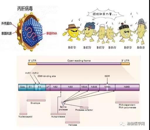 微信图片_20210326153703.jpg