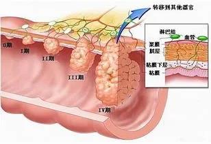 微信图片_20210525154600.jpg