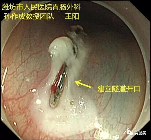 微信图片_20210204140714.jpg