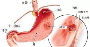 微信图片_20210909130804.jpg
