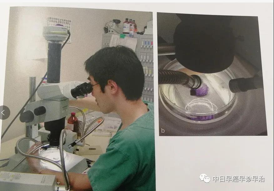 微信图片_20210816101400.jpg