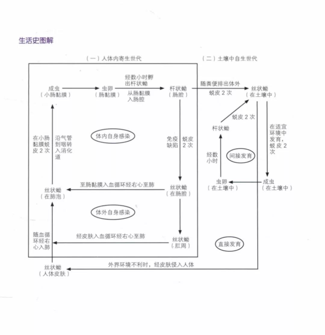 微信图片_20210706164925.jpg
