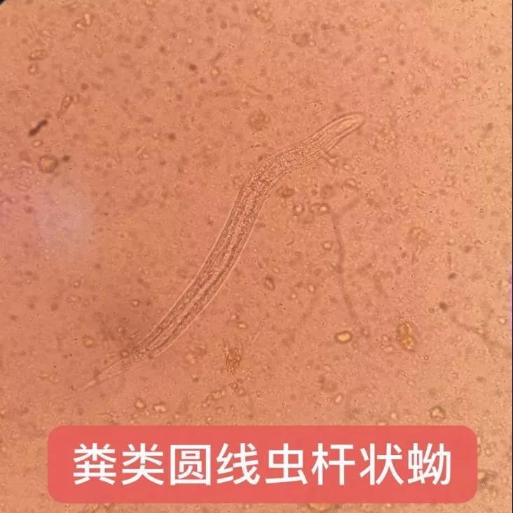 微信图片_20210706164918.jpg