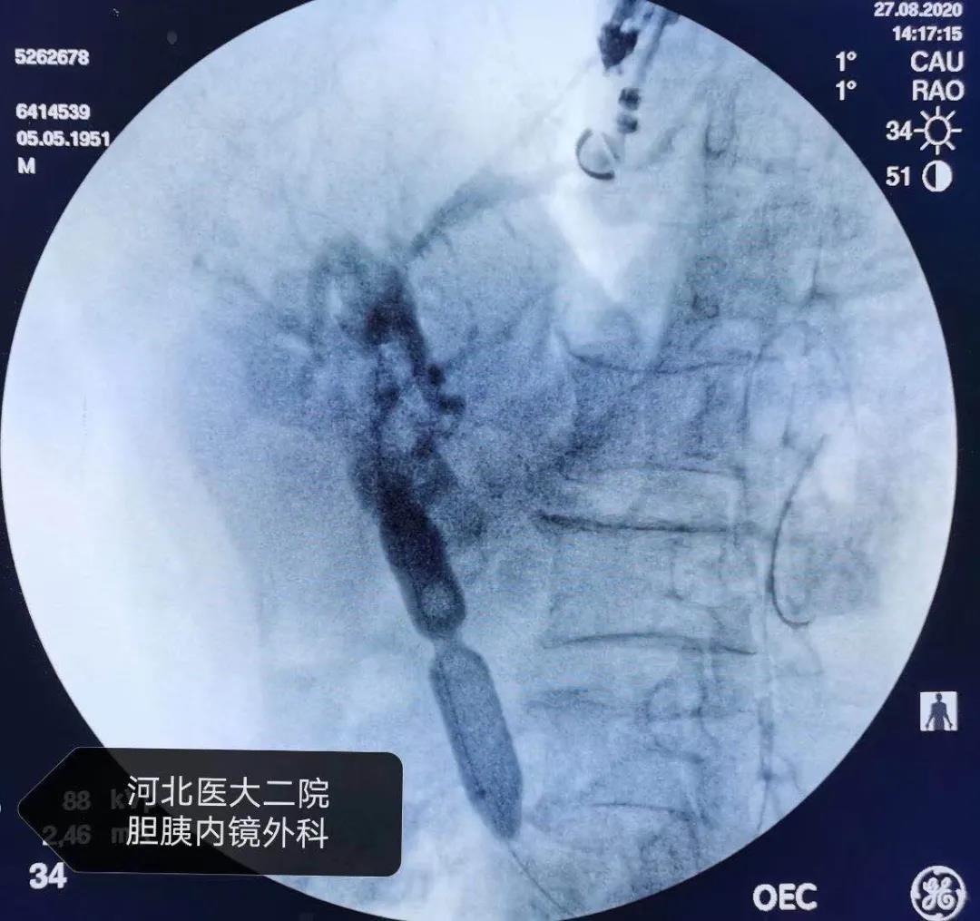 微信图片_20210610180242.jpg