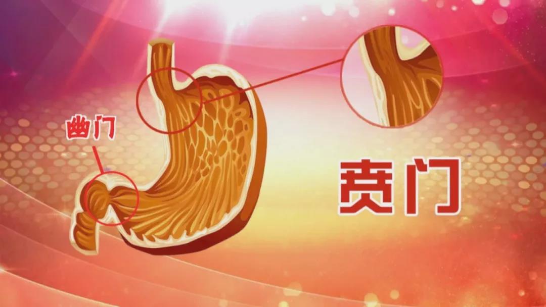 微信图片_20210407165640.jpg