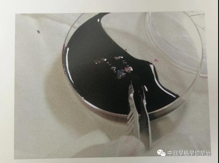 微信图片_20210816101353.jpg