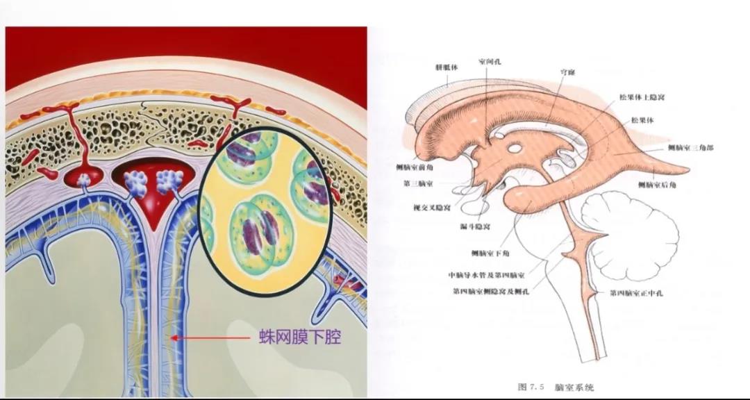 微信图片_20210419161125.jpg