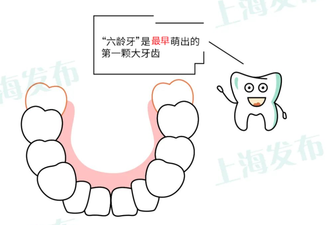 微信图片_20200914130227.png
