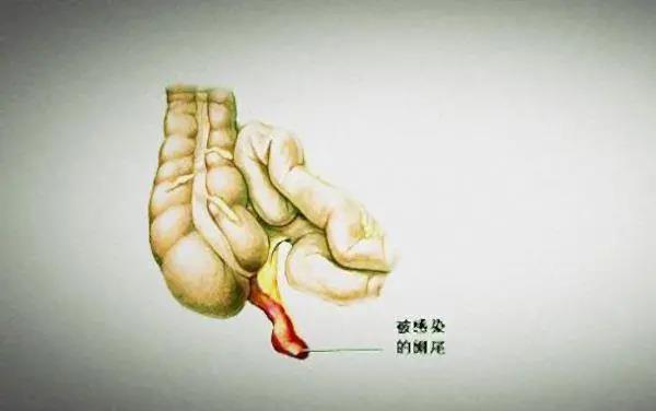 微信图片_20200827132202.jpg