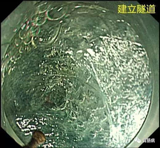 微信图片_20210204140716.jpg