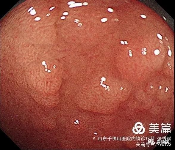 微信图片_20210610174729.jpg
