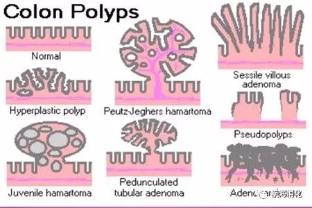640.webp (3).jpg