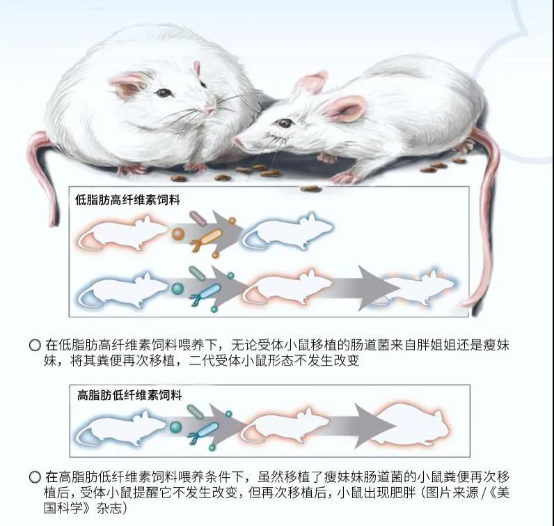 微信图片_20210317112717.jpg