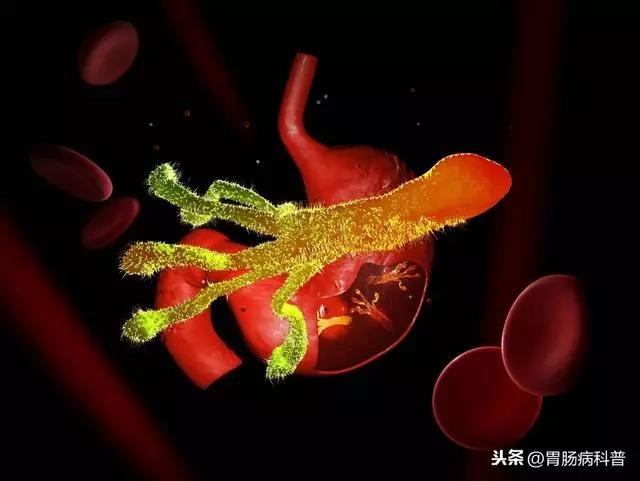微信图片_20201118142743.jpg