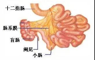 微信图片_20200704101654.jpg