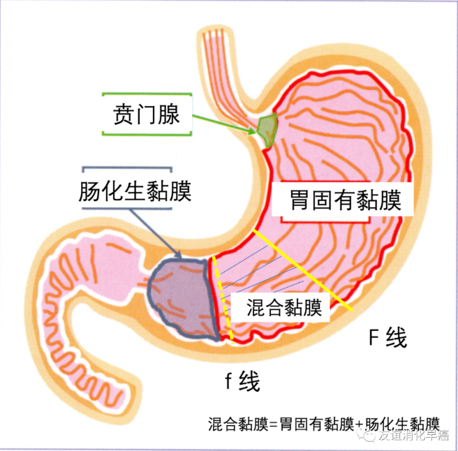 微信截图_20200607125938.png