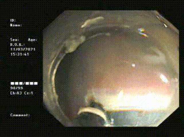 微信图片_20210706163359.png