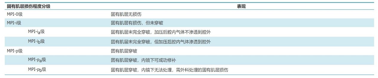 表2.jpg