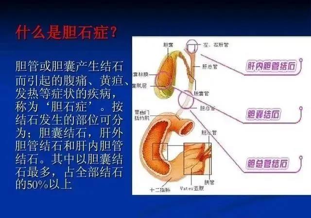 微信图片_20210707144324.jpg