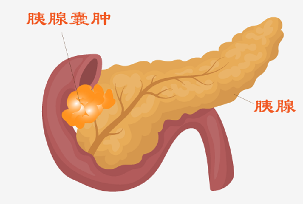 微信图片_20220117144336.png