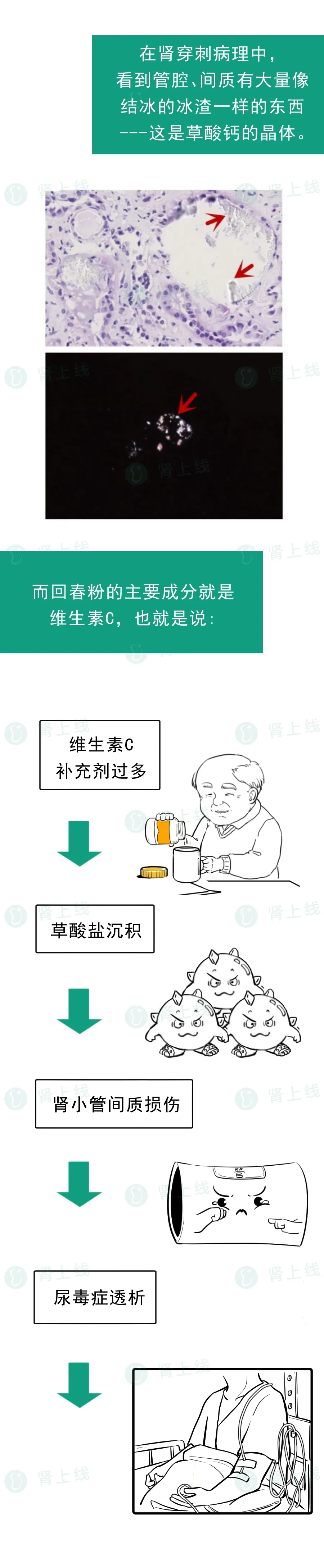 640.webp (7).jpg