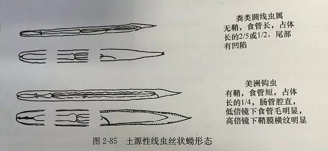 微信图片_20210706164921.jpg