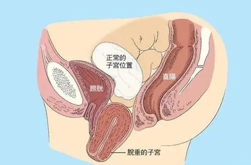 微信图片_20210701165925.jpg