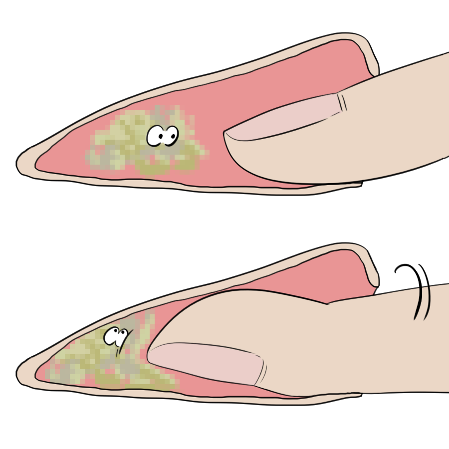 微信图片_20200916154959.png