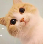 微信图片_20210715112632.png