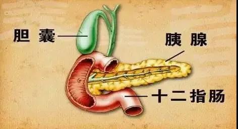 微信图片_20210924142407.jpg