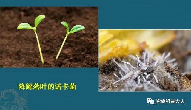 微信图片_20210408134914.jpg
