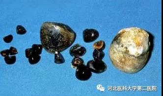 微信图片_20211227170329.jpg