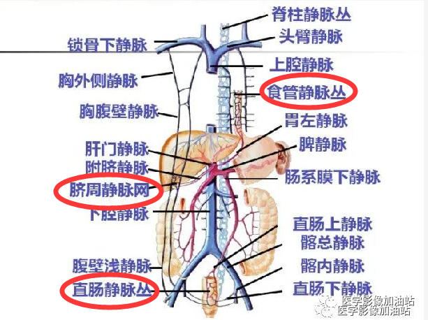 微信图片_20221202143008.png