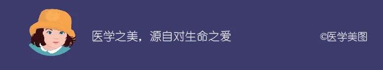 IBD和IBS2.jpg