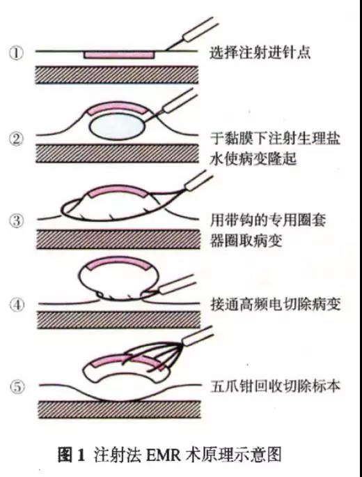 微信图片_20210304110029.jpg