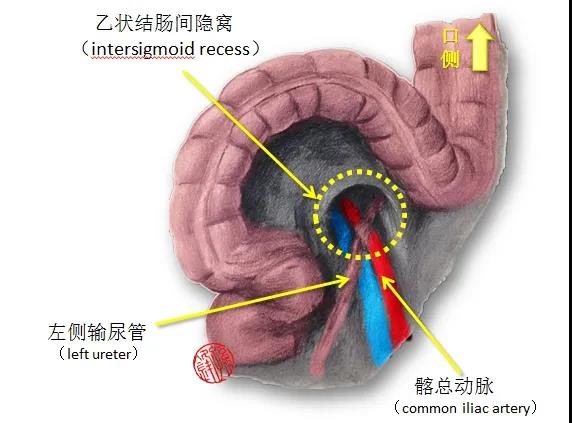 微信图片_20210902152607.jpg